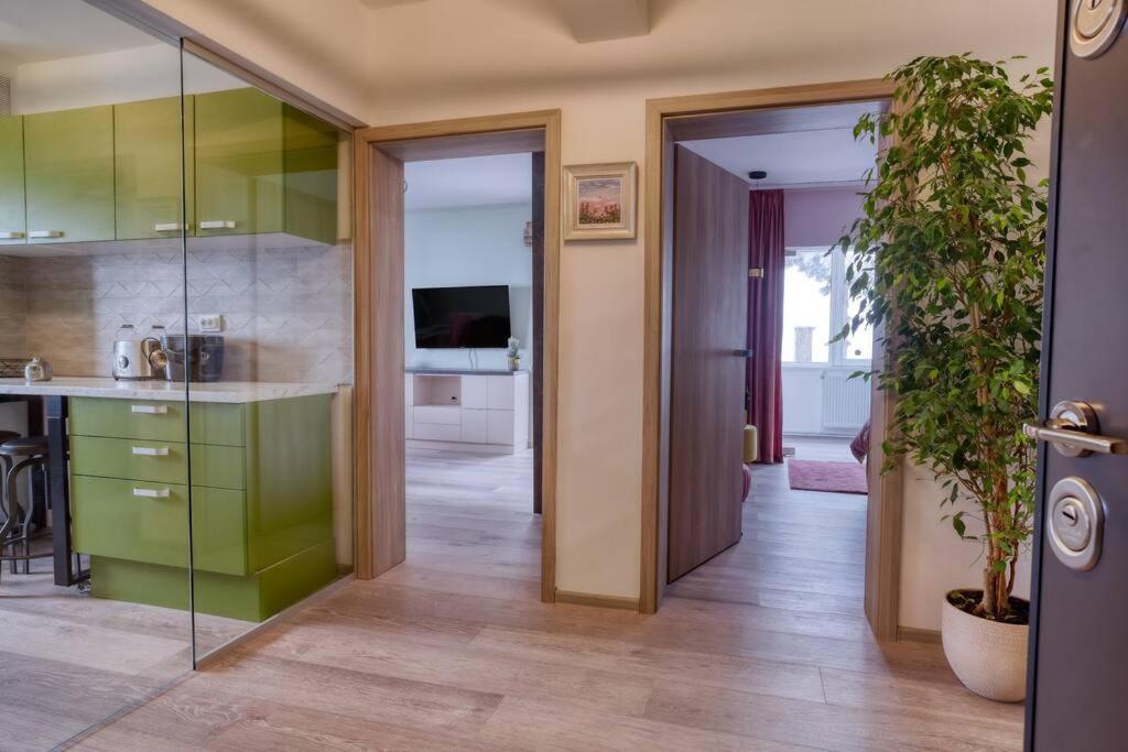 Central Luxury Apartment With City View Braszów Zewnętrze zdjęcie