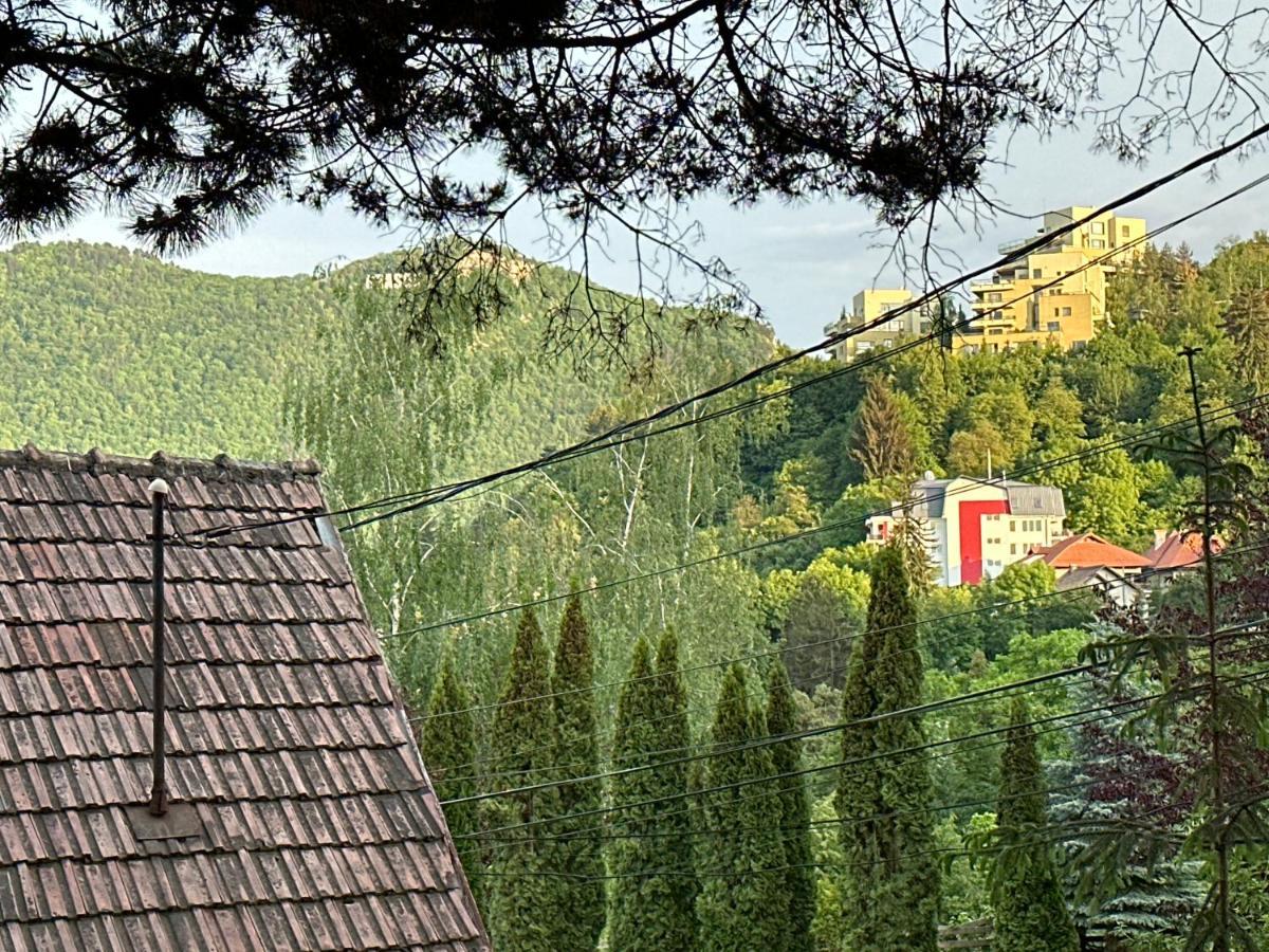 Central Luxury Apartment With City View Braszów Zewnętrze zdjęcie